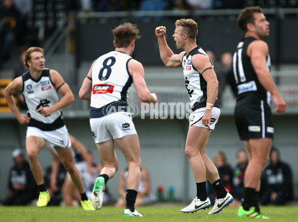 VFL 2017 Round 04 - Collingwood v Northern Blues - 509347