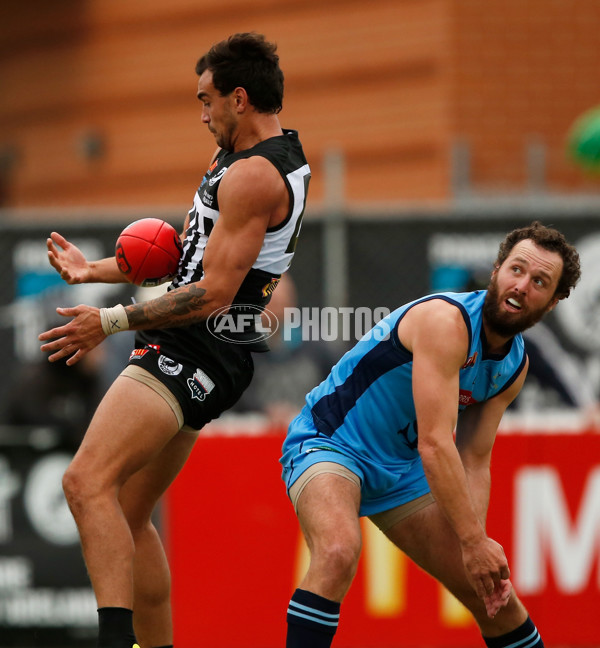 SANFL 2017 Round 05 - Port Adelaide v Sturt - 509483