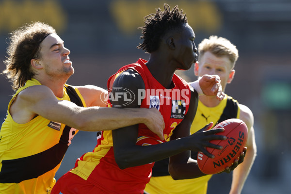 VFL 2023 Round 06 - Richmond v Gold Coast - A-28122320