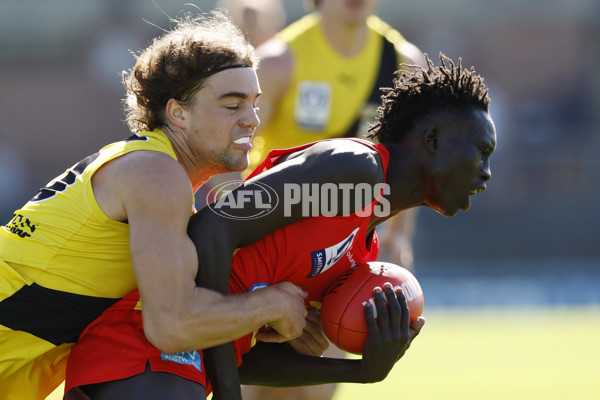 VFL 2023 Round 06 - Richmond v Gold Coast - A-28122321