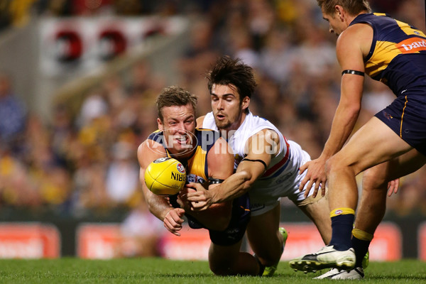 AFL 2017 Round 08 - West Coast v Western Bulldogs - 510513