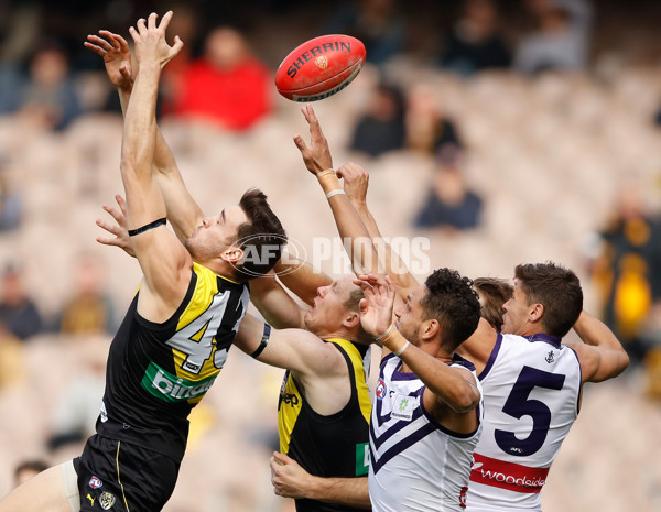 AFL 2017 Round 08 - Richmond v Fremantle - 511589