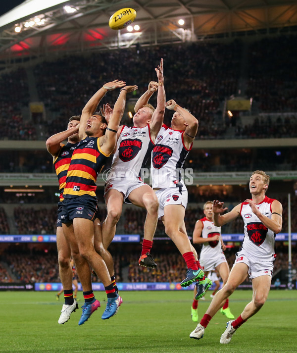 AFL 2017 Round 08 - Adelaide v Melbourne - 511560
