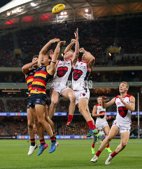 AFL 2017 Round 08 - Adelaide v Melbourne - 511560