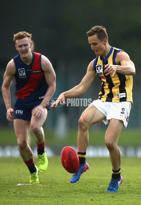 VFL 2017 Round 05 - Coburg v Sandringham - 511793