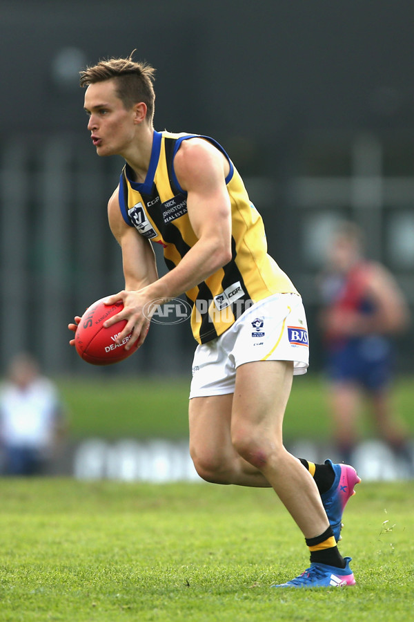 VFL 2017 Round 05 - Coburg v Sandringham - 511791