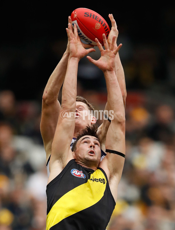 AFL 2017 Round 08 - Richmond v Fremantle - 511887