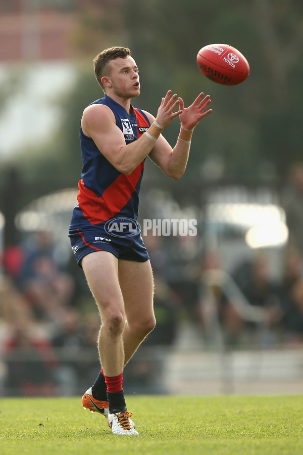 VFL 2017 Round 05 - Coburg v Sandringham - 512078