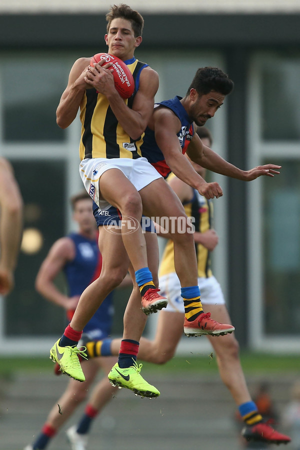 VFL 2017 Round 05 - Coburg v Sandringham - 512093