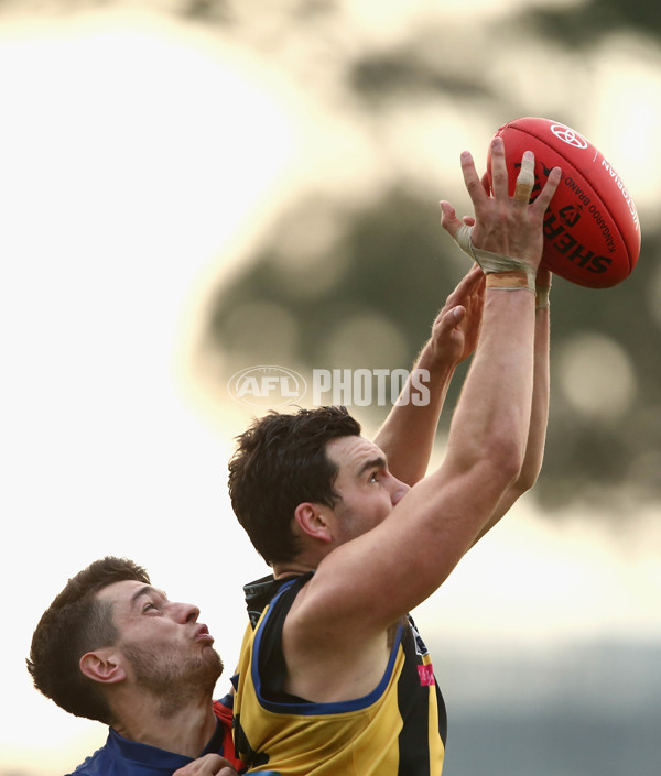 VFL 2017 Round 05 - Coburg v Sandringham - 512116