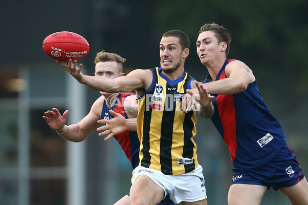 VFL 2017 Round 05 - Coburg v Sandringham - 512136