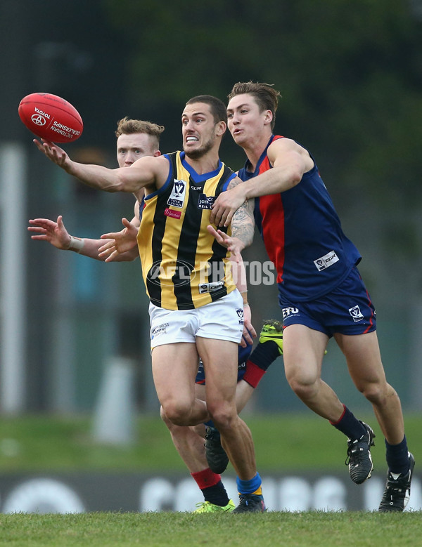 VFL 2017 Round 05 - Coburg v Sandringham - 512135