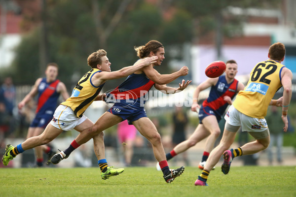 VFL 2017 Round 05 - Coburg v Sandringham - 512134