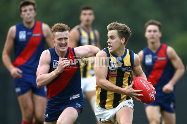 VFL 2017 Round 05 - Coburg v Sandringham - 512139