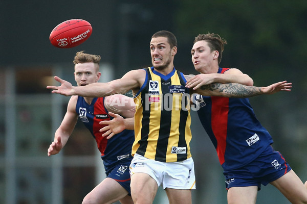 VFL 2017 Round 05 - Coburg v Sandringham - 512138