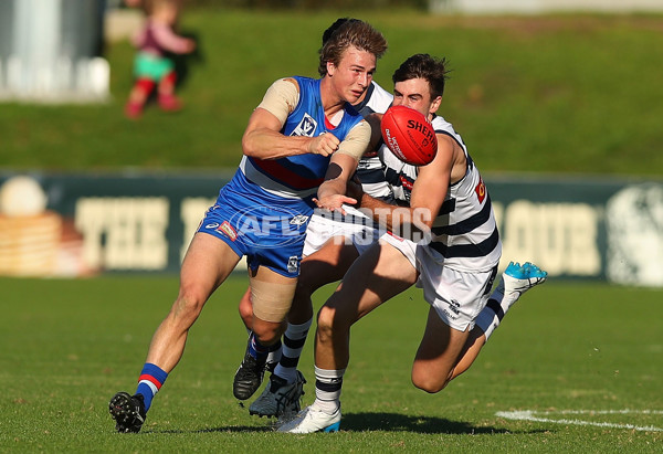 VFL 2017 Round 06 - Footscray v Geelong - 513125