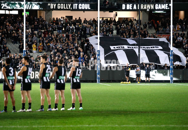 AFL 2017 Round 09 - Collingwood v Hawthorn - 513277