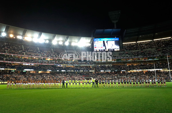 AFL 2017 Round 09 - Collingwood v Hawthorn - 513279