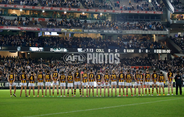 AFL 2017 Round 09 - Collingwood v Hawthorn - 513590