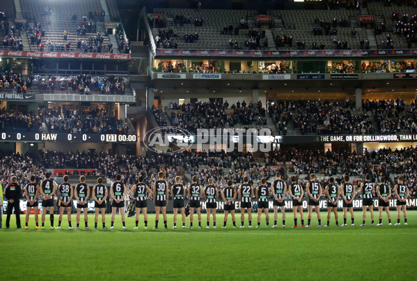 AFL 2017 Round 09 - Collingwood v Hawthorn - 513591