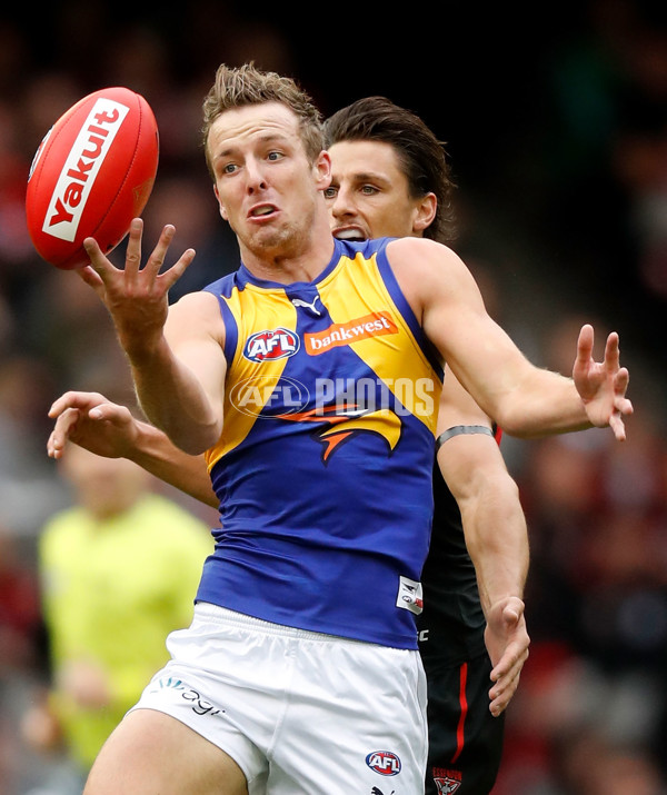 AFL 2017 Round 09 - Essendon v West Coast - 513657