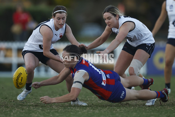 VFLW Rd 6 - Port Melbourne v Carlton - A-28215029