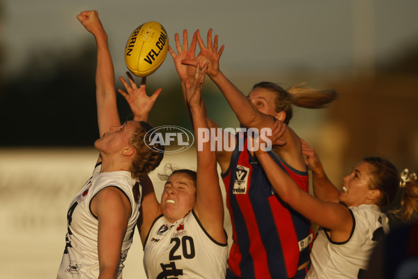 VFLW Rd 6 - Port Melbourne v Carlton - A-28215035