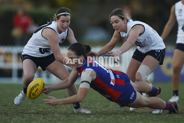 VFLW Rd 6 - Port Melbourne v Carlton - A-28216811