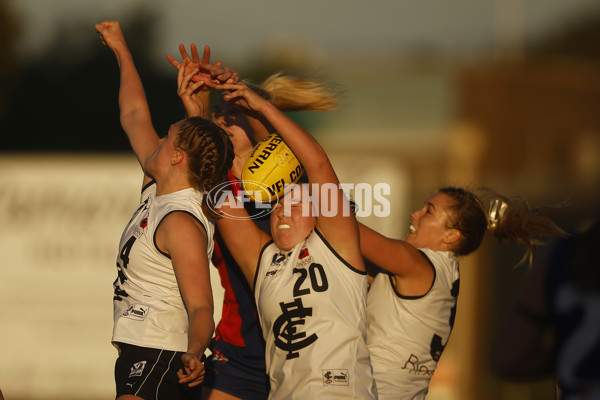 VFLW Rd 6 - Port Melbourne v Carlton - A-28216819