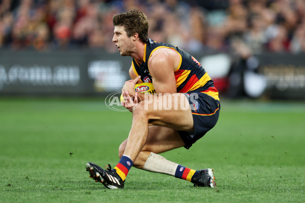 AFL 2023 Round 07 - Adelaide v Collingwood - A-28216833