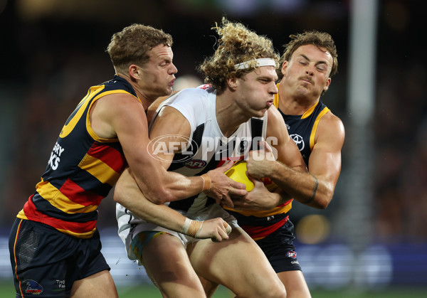 AFL 2023 Round 07 - Adelaide v Collingwood - A-28230308