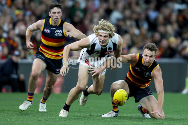 AFL 2023 Round 07 - Adelaide v Collingwood - A-28230501