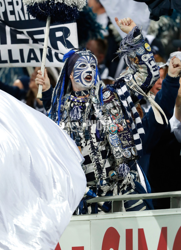 AFL 2017 Round 10 - Geelong v Port Adelaide - 514608