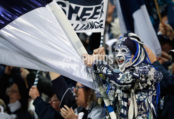 AFL 2017 Round 10 - Geelong v Port Adelaide - 514609
