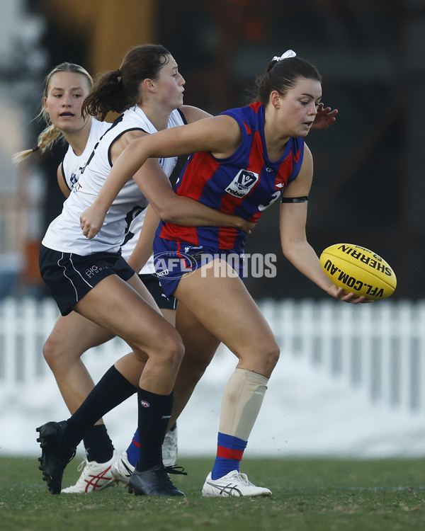 VFLW Rd 6 - Port Melbourne v Carlton - A-28241412