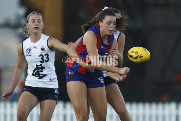 VFLW Rd 6 - Port Melbourne v Carlton - A-28241714