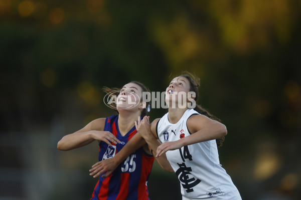 VFLW Rd 6 - Port Melbourne v Carlton - A-28245267