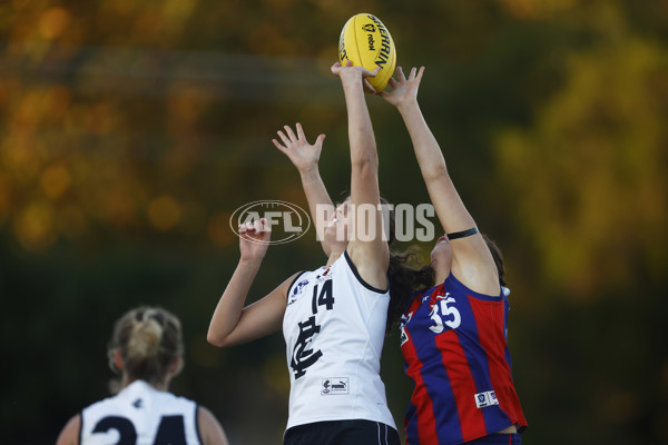 VFLW Rd 6 - Port Melbourne v Carlton - A-28245270