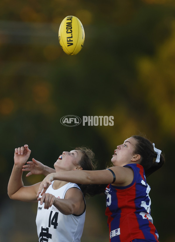 VFLW Rd 6 - Port Melbourne v Carlton - A-28245271