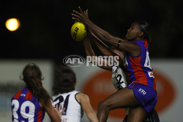 VFLW Rd 6 - Port Melbourne v Carlton - A-28248932