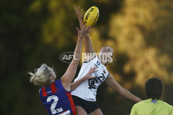 VFLW Rd 6 - Port Melbourne v Carlton - A-28249081