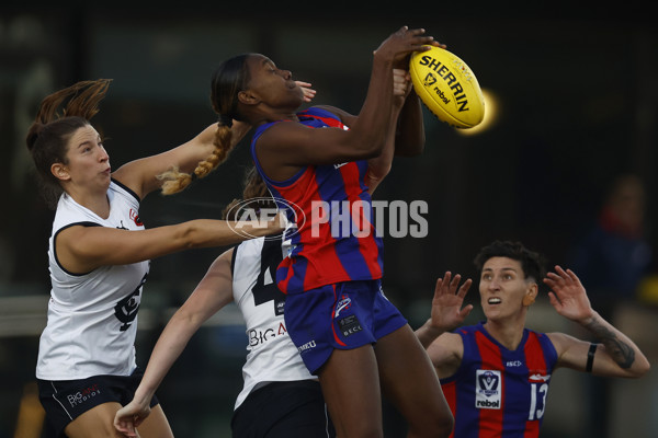 VFLW Rd 6 - Port Melbourne v Carlton - A-28252248