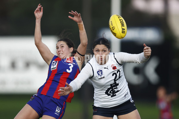 VFLW Rd 6 - Port Melbourne v Carlton - A-28252919