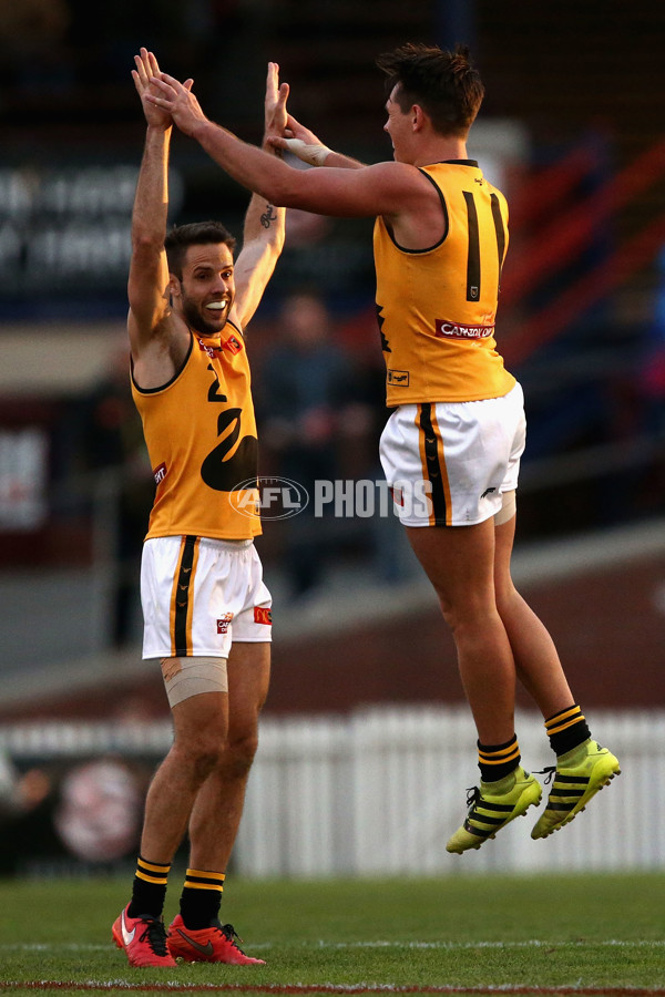 VFL 2017 State Match - VFL v WAFL - 515448