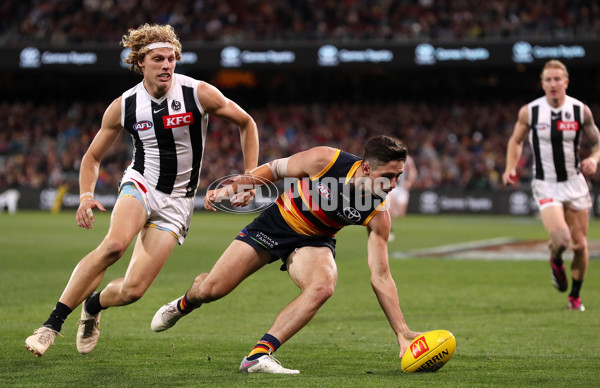 AFL 2023 Round 07 - Adelaide v Collingwood - A-28282421