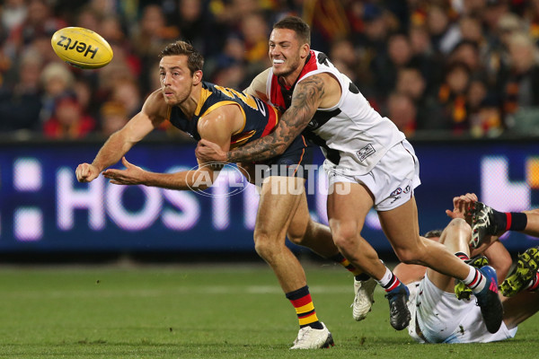 AFL 2017 Round 12 - Adelaide v St Kilda - 518253