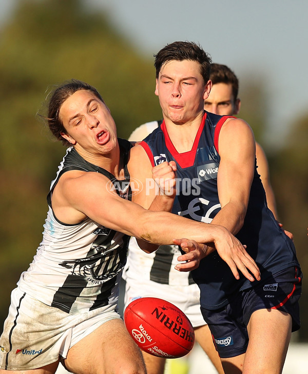 VFL 2017 Round 08 - Casey v Collingwood - 518594