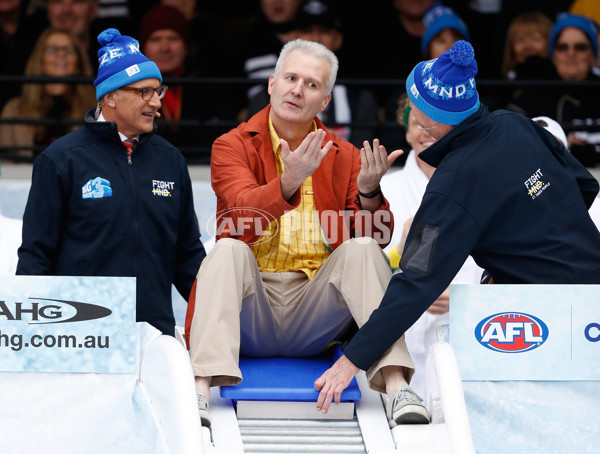 AFL 2017 Round 12 - Melbourne v Collingwood - 519670