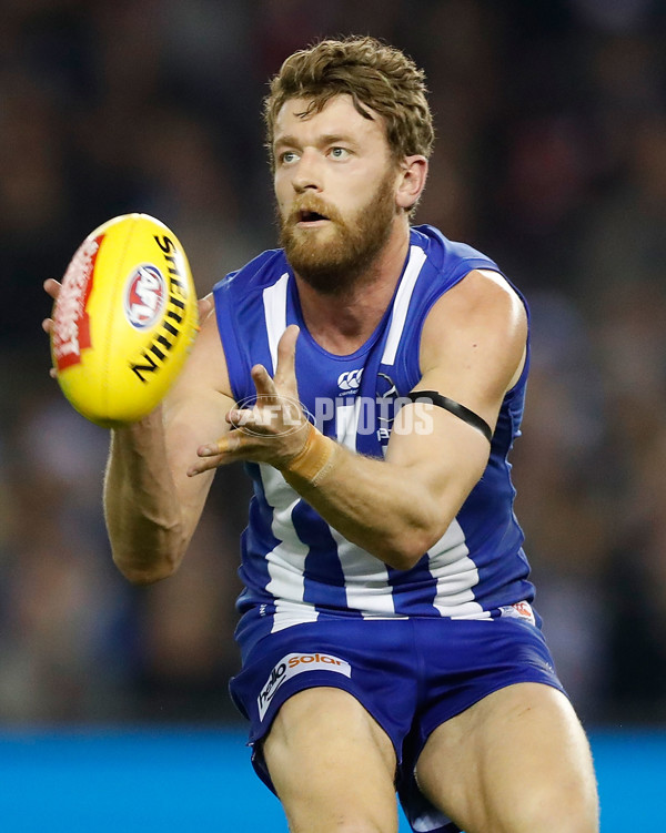 AFL 2017 Round 13 - North Melbourne v St Kilda - 520173