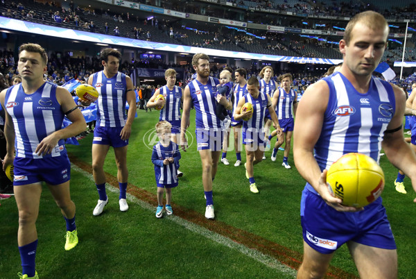 AFL 2017 Round 13 - North Melbourne v St Kilda - 520245